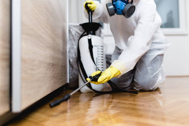 Best Flea Control Services  in Woodbranch, TX