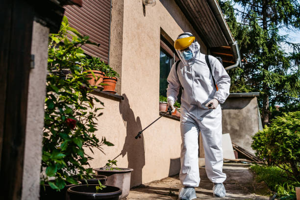 Best Exterminator Services  in Woodbranch, TX