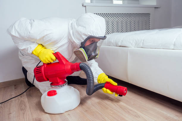 Best Affordable Pest Control Services  in Woodbranch, TX