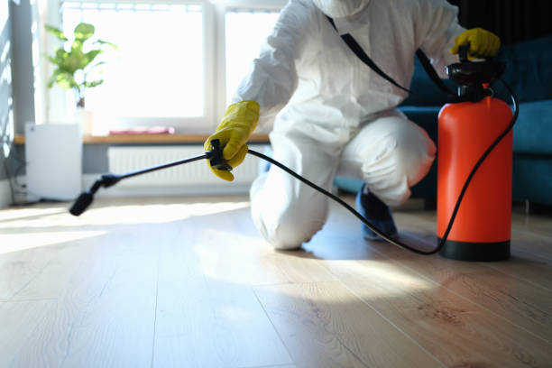 Professional Pest Control in Woodbranch, TX