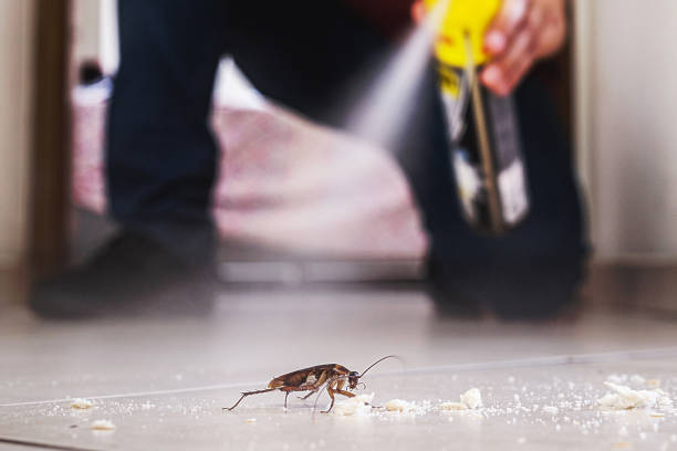 Reliable Woodbranch, TX Pest Control Solutions